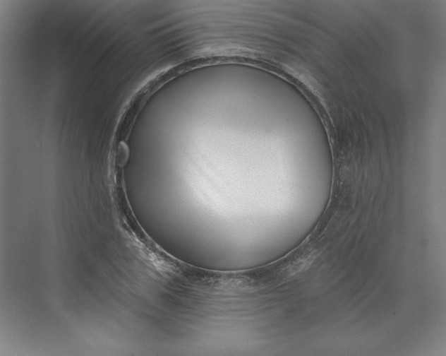 X0000073460979200608111505