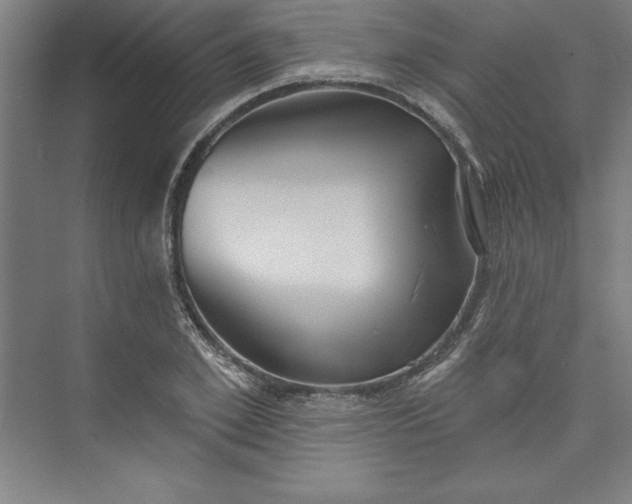 X0000073460981200608111505