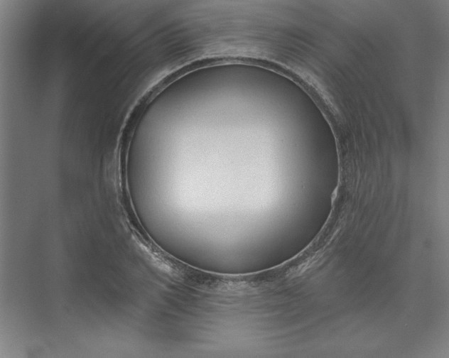 X0000073460982200608111505