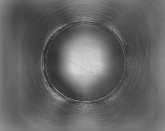 X0000073460987200608111505