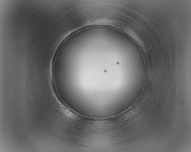 X0000073460988200608111505