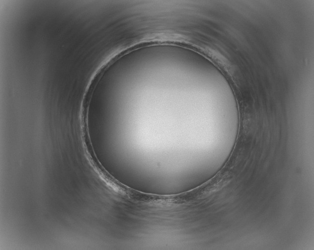 X0000073460990200608111505