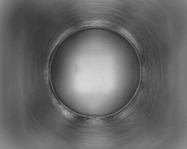 X0000073460994200608111505