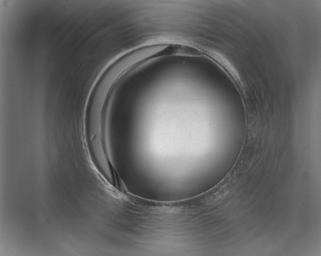 X0000073460996200608111505