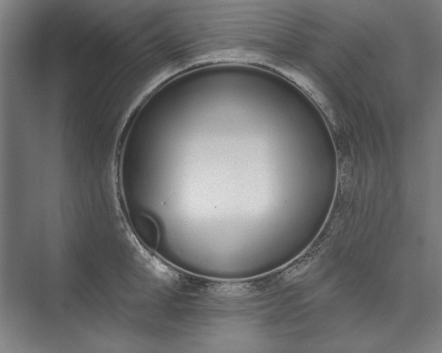 X0000073460998200608111505