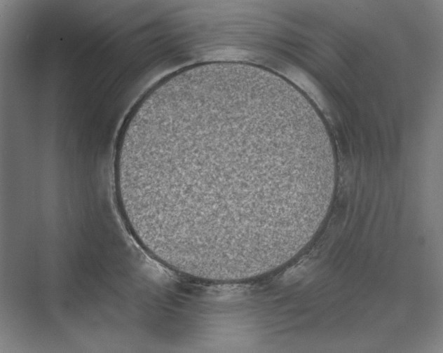 X0000073461000200608111505