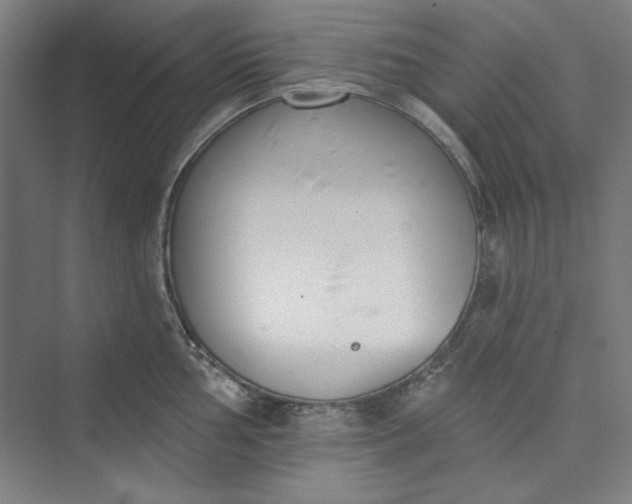 X0000073461002200608111505