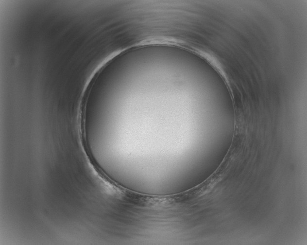 X0000073461003200608111505