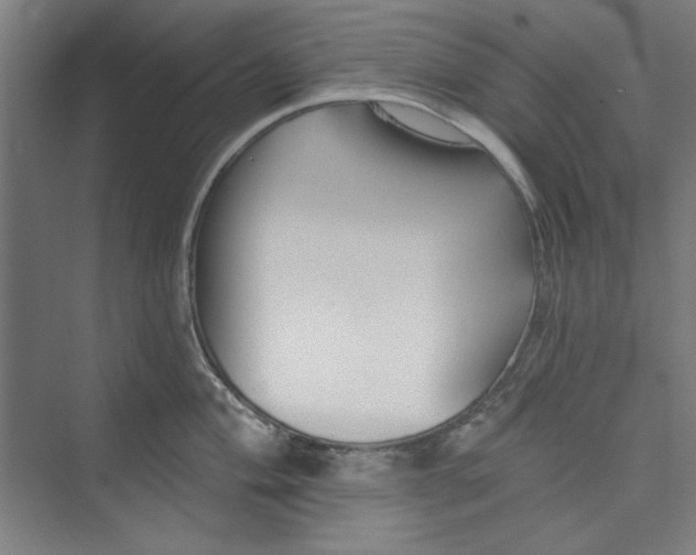 X0000073461004200608111505