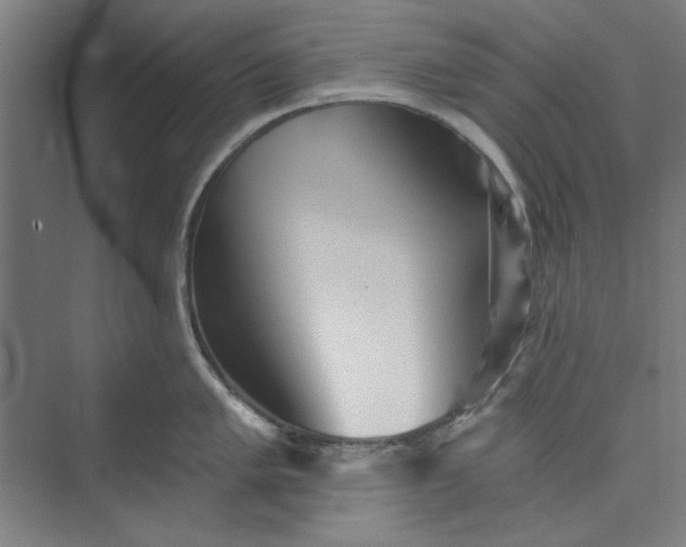 X0000073461005200608111505