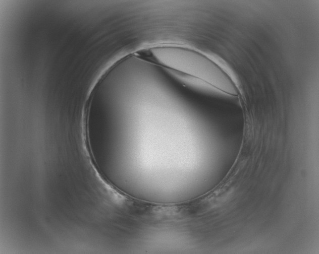 X0000073461006200608111505