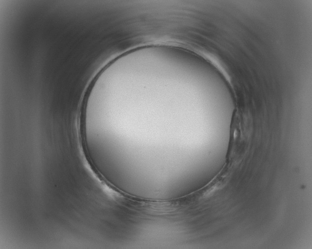 X0000073461007200608111505