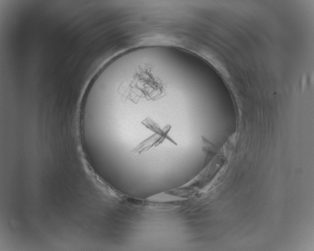 X0000073461008200608111505