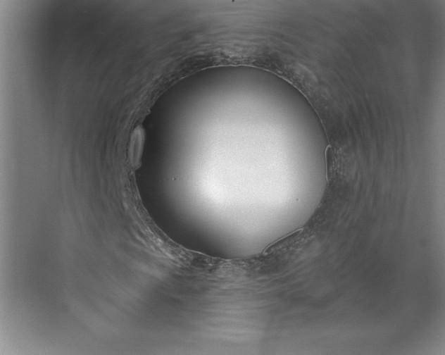 X0000073461009200608111504