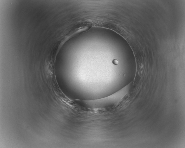 X0000073461010200608111504