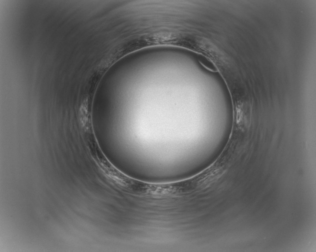 X0000073461011200608111504