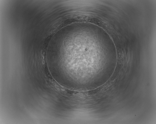 X0000073461013200608111504