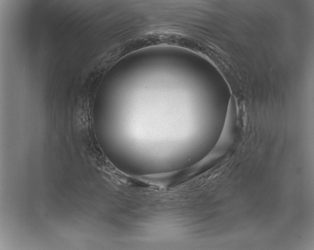 X0000073461014200608111504