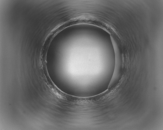 X0000073461018200608111504