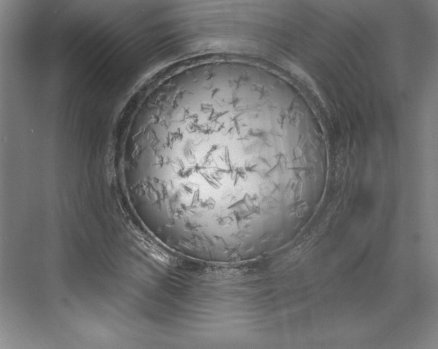 X0000073461019200608111504