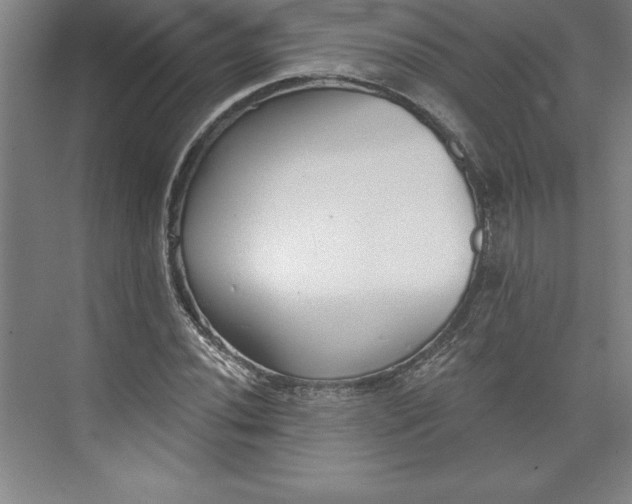 X0000073461020200608111504