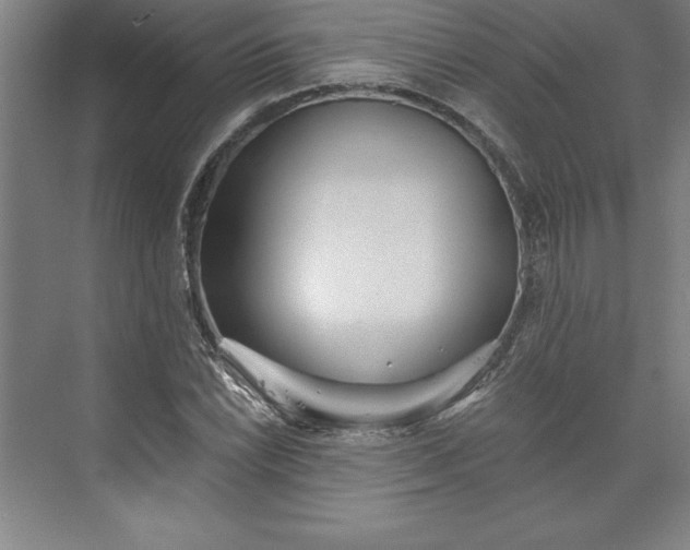 X0000073461022200608111504