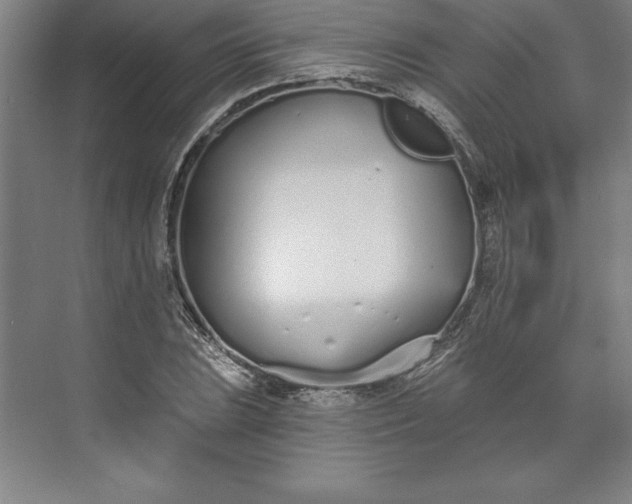 X0000073461023200608111504