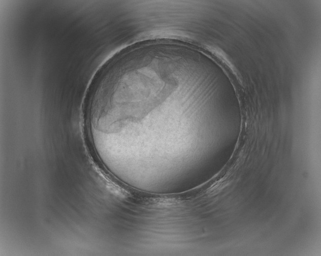 X0000073461024200608111504