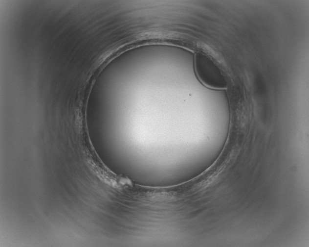 X0000073461025200608111504