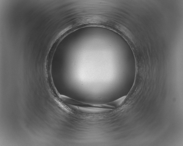 X0000073461026200608111504