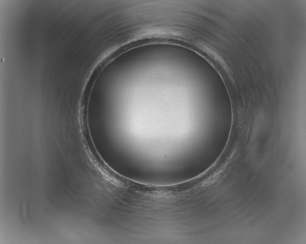 X0000073461029200608111504