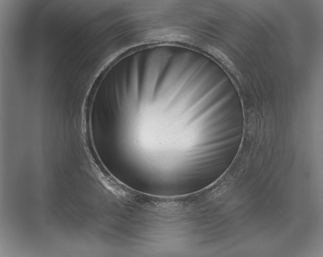 X0000073461031200608111505