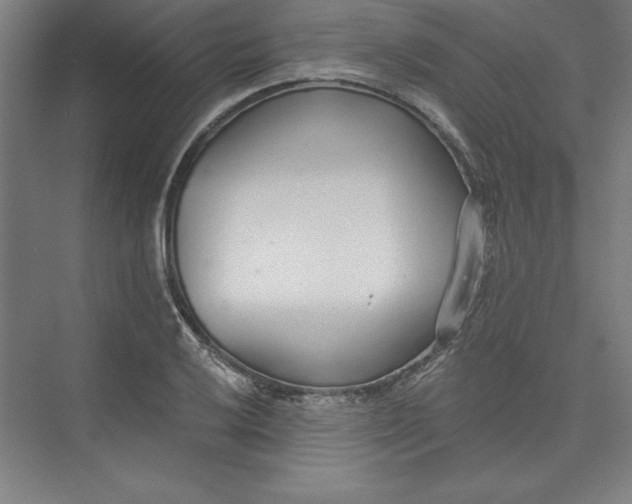 X0000073461032200608111505