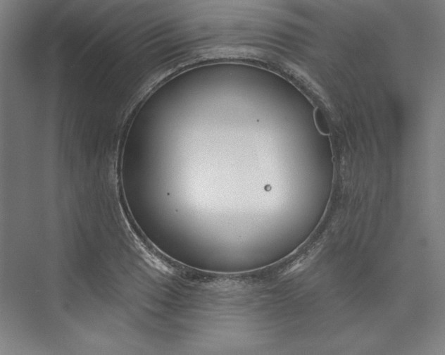 X0000073461033200608111505