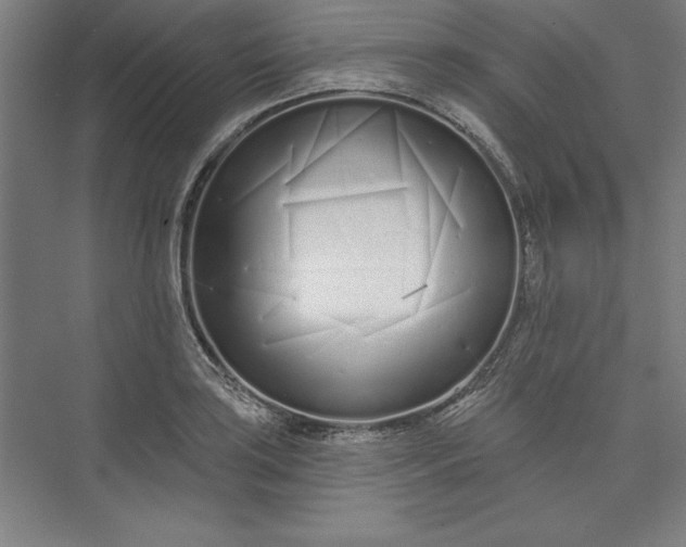 X0000073461035200608111505