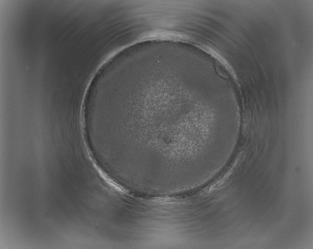 X0000073461037200608111505