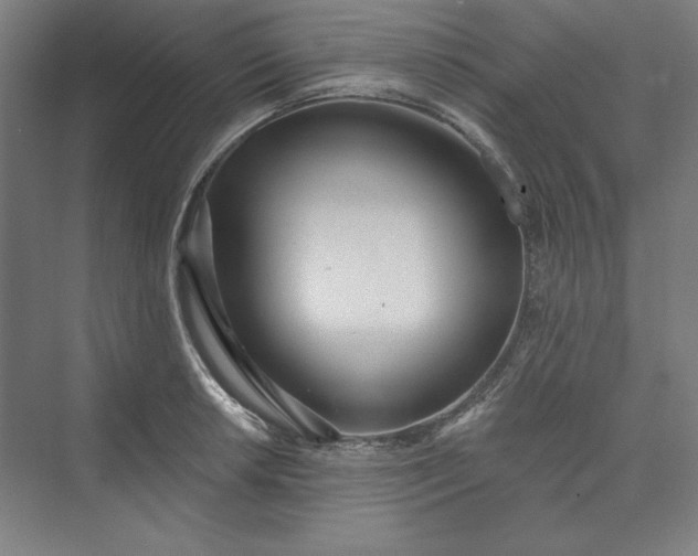 X0000073461042200608111505