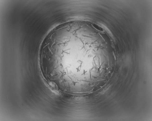 X0000073461043200608111505