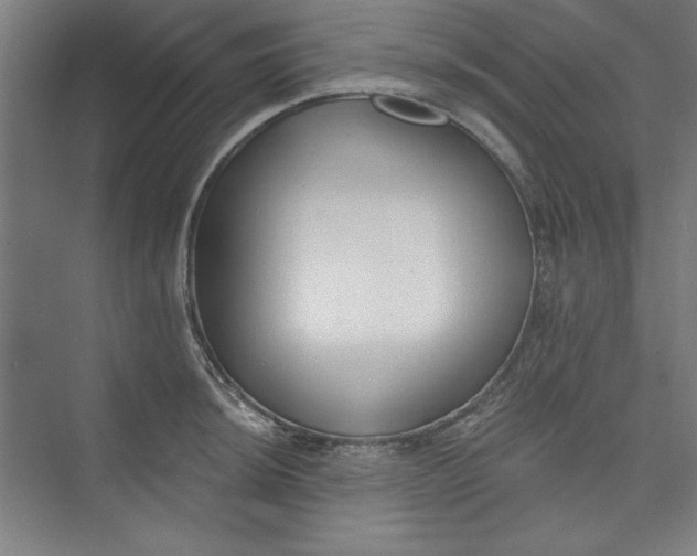 X0000073461044200608111505