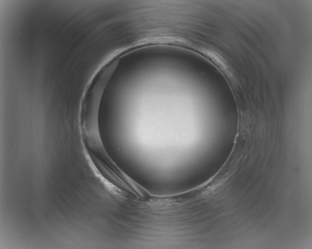 X0000073461046200608111505