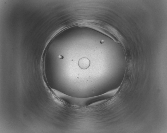 X0000073461050200608111505