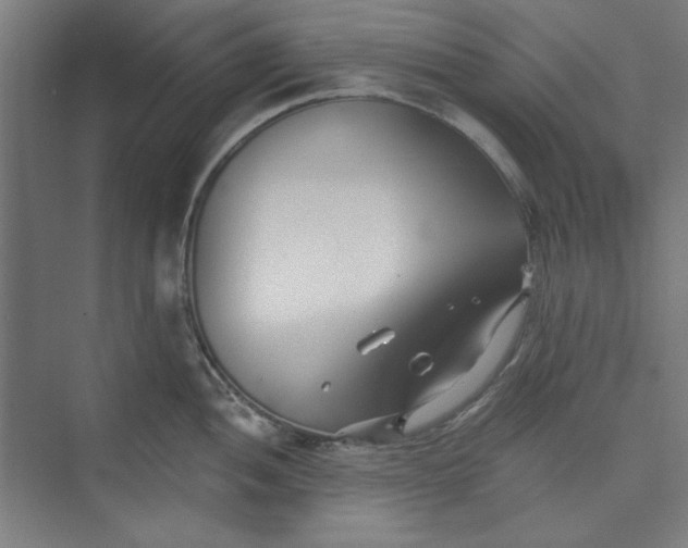 X0000073461052200608111505