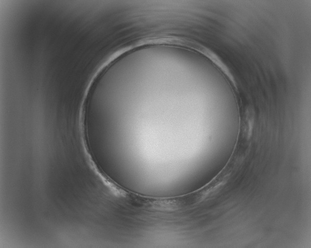 X0000073461053200608111505