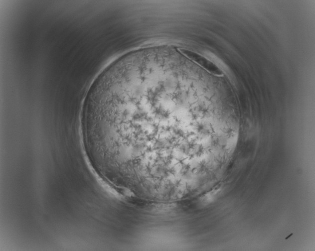 X0000073461055200608111505