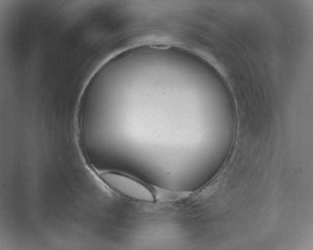 X0000073461056200608111505