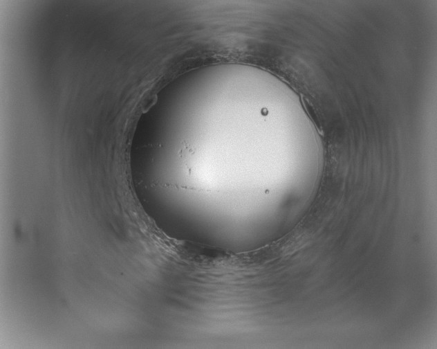 X0000073461057200608111504