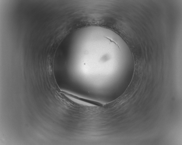 X0000073461058200608111504