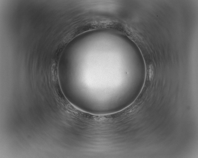 X0000073461059200608111504