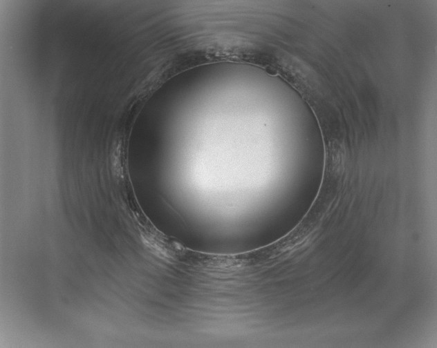 X0000073461060200608111504