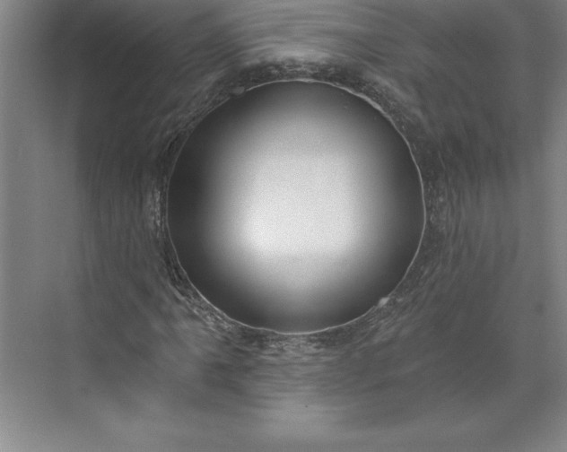 X0000073461061200608111504